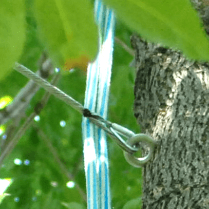 tree cabling