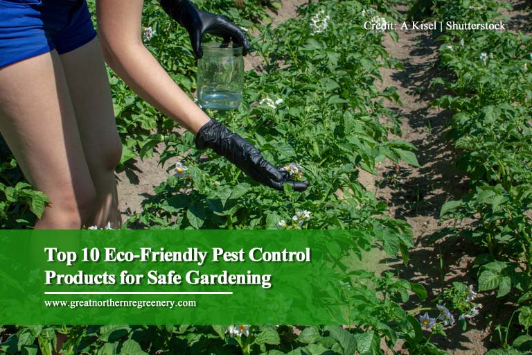 https://www.greatnorthernregreenery.com/wp-content/uploads/2021/06/Top-10-Eco-Friendly-Pest-Control-Products-for-Safe-Gardening.jpg